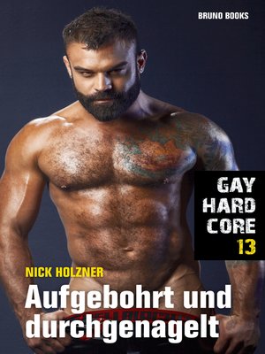 cover image of Gay Hardcore 13